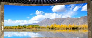 小間距l(xiāng)ed顯示屏未來的發(fā)展前景怎么樣？